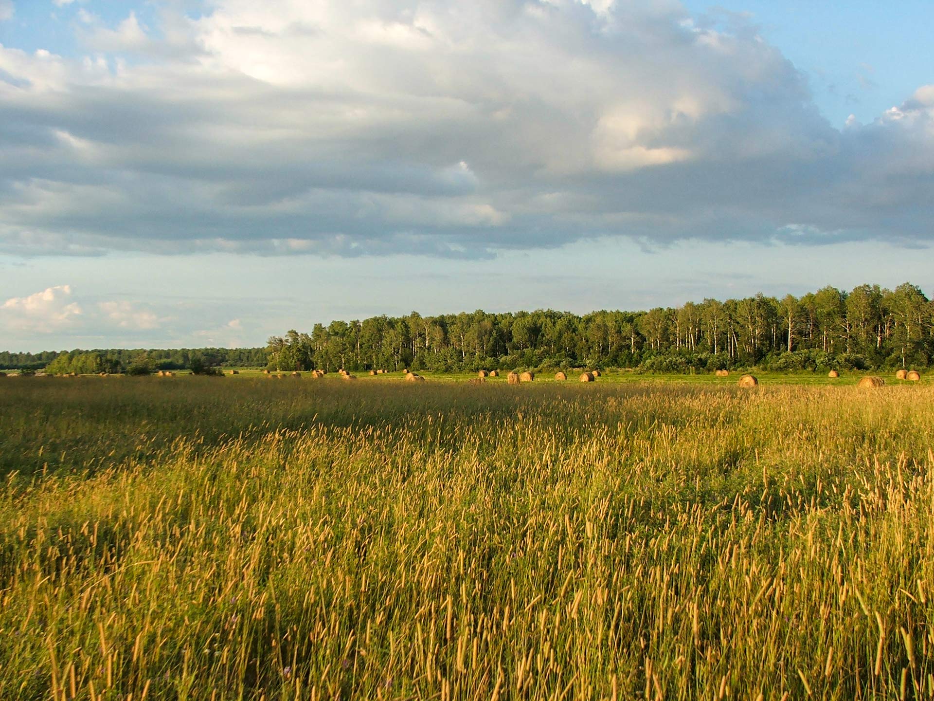 Bienvenue Municipalité de Laforce