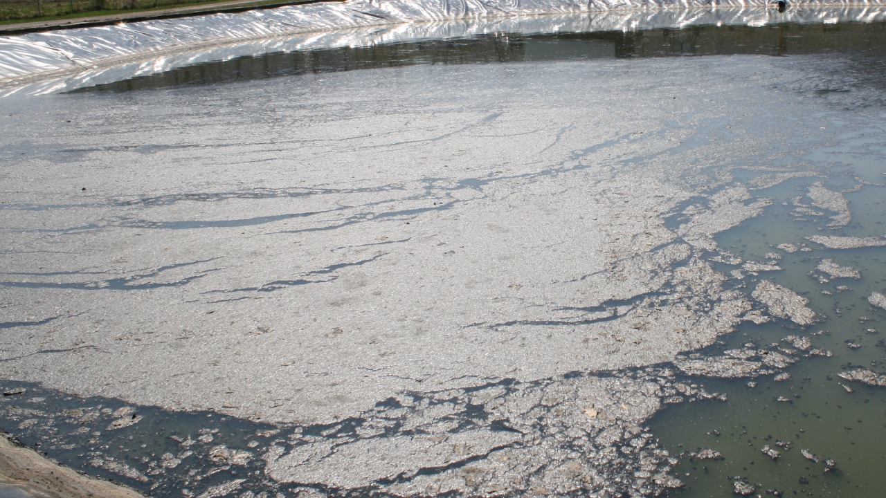 Lagoon Algae Solutions Triplepoint Environmental