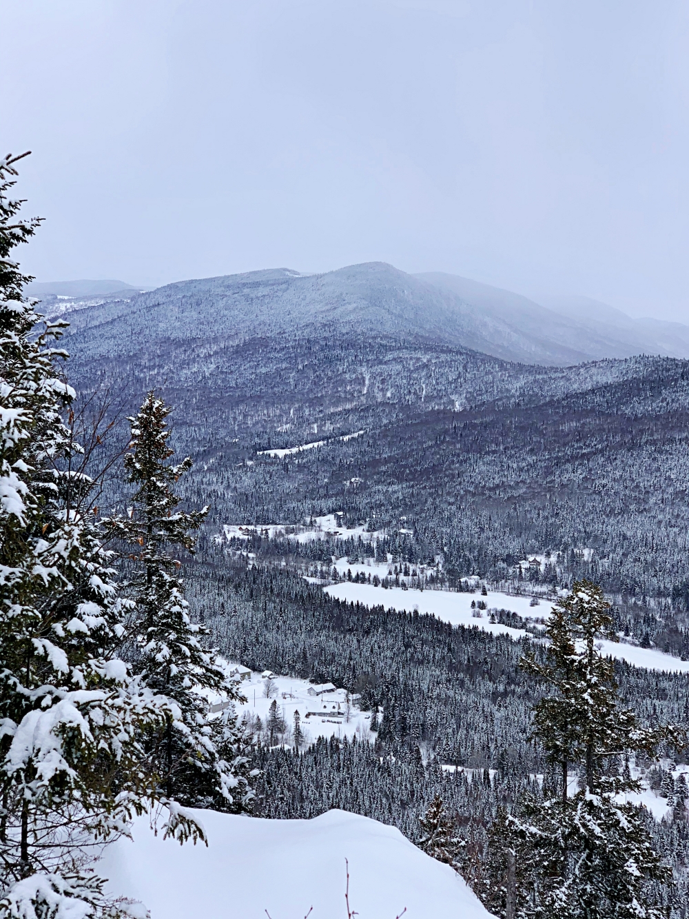 Randonnée hivernale 5 idées de sentiers à moins d'une heure de Québec