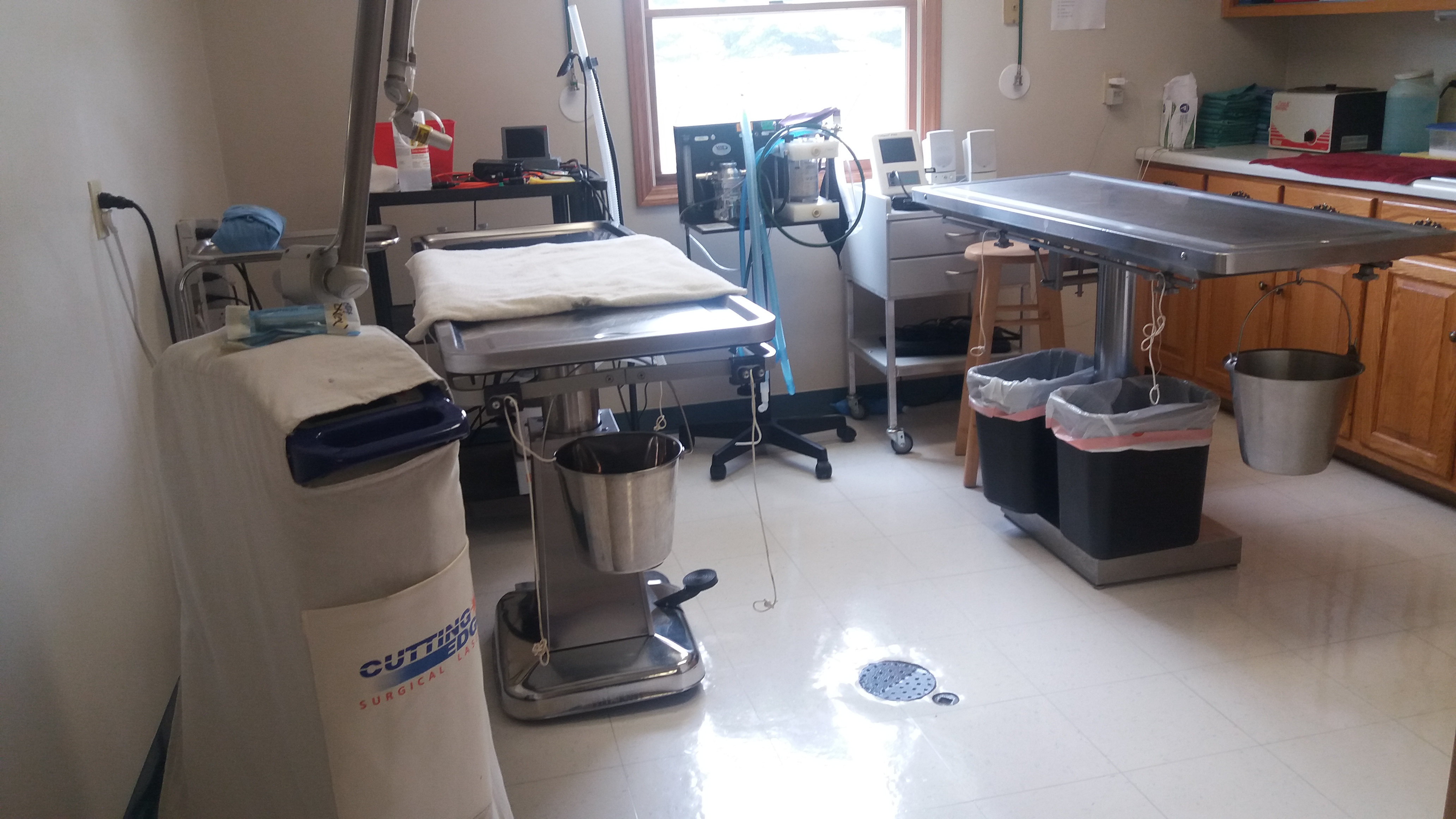 Preventative Health Care for Small Animals Veterinarian in LaGrange