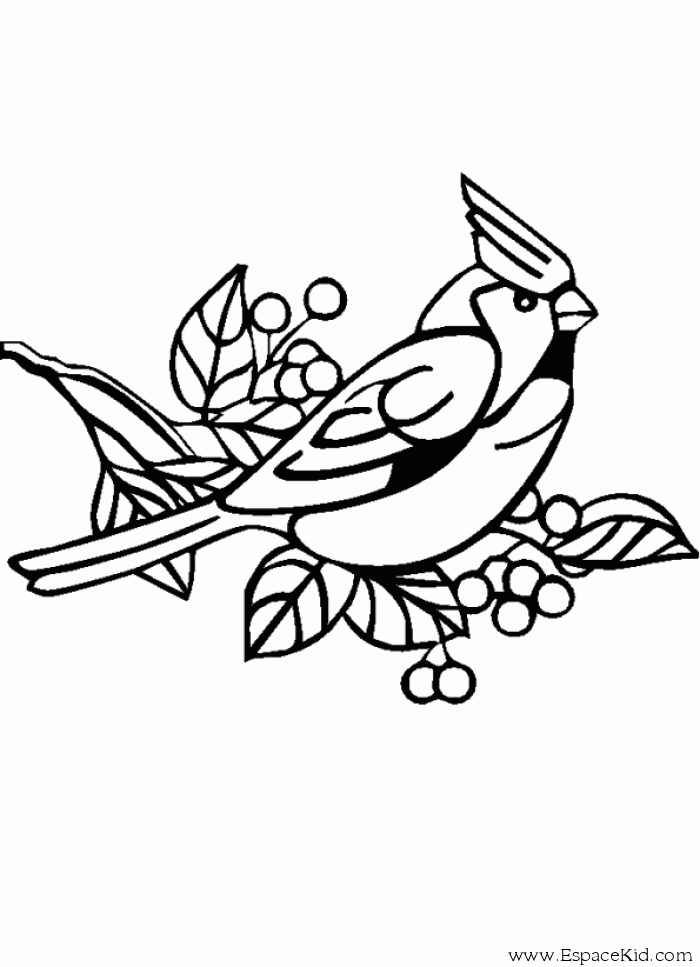 119 dessins de coloriage oiseau à imprimer sur LaGuerche