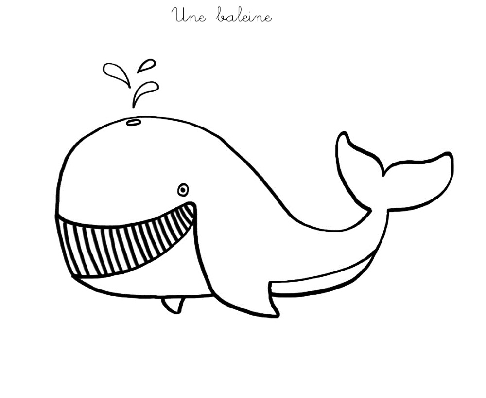 247 dessins de coloriage baleine à imprimer sur LaGuerche