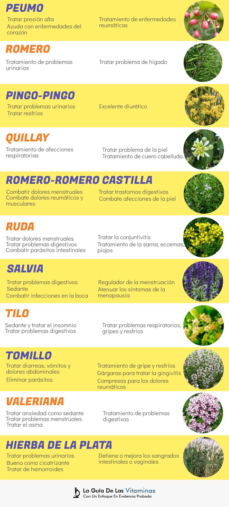44 plantas medicinales, para qué sirven y como cultivarlas La Guía de