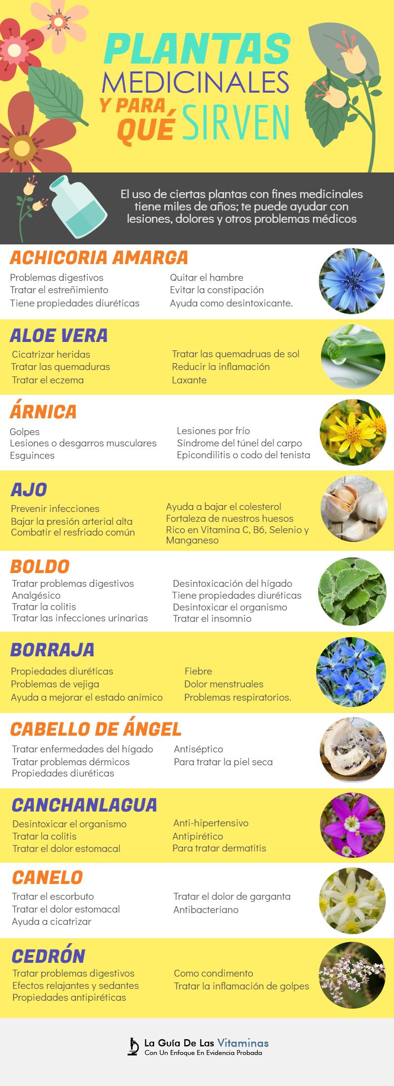 44 plantas medicinales, para qué sirven y como cultivarlas