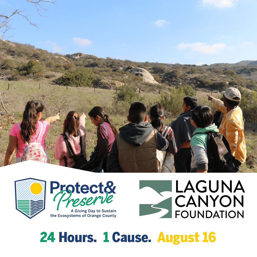 Join us for Protect and Preserve 2023! Laguna Canyon Foundation