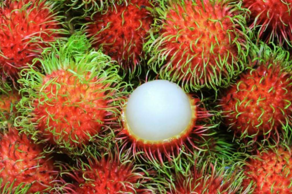 LICHAS (RAMBUTÁN) La Huerta Express