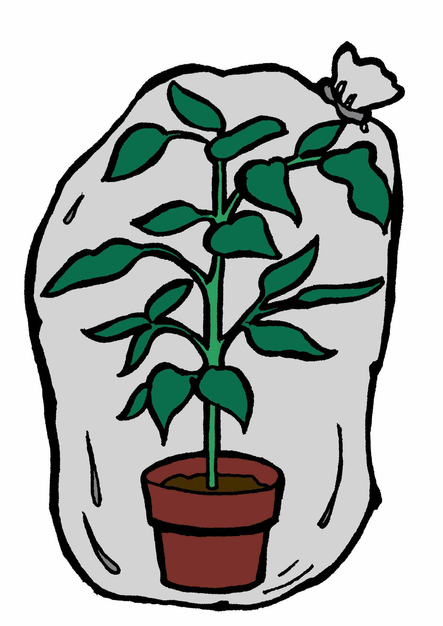 Plants Won’t Suffocate Inside a Bag Laidback Gardener