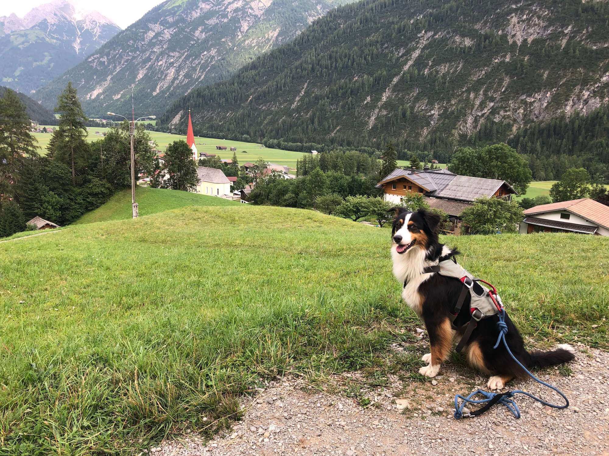 Alpenüberquerung auf dem E5 mit Hund Von Oberstdorf nach Meran