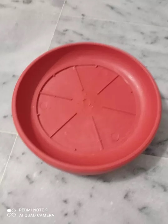 16+ Drip Tray For Plants