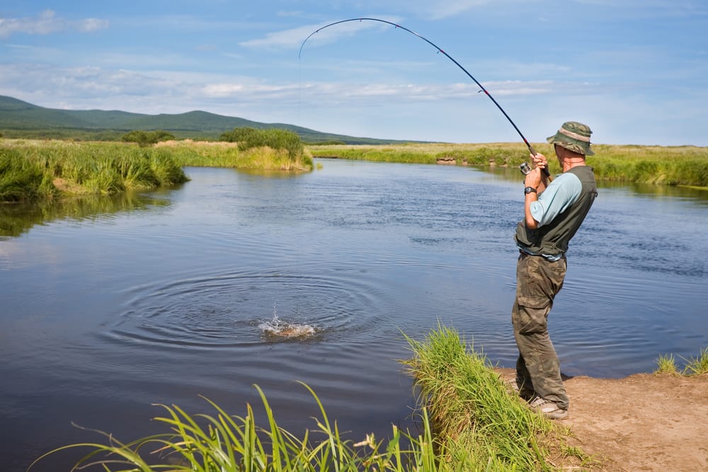 Fishing Your 1 Guide to Jewish Los Angeles