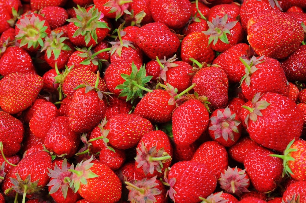 Carlsbad Strawberry Patch is “Berry” Excited to Open This Year