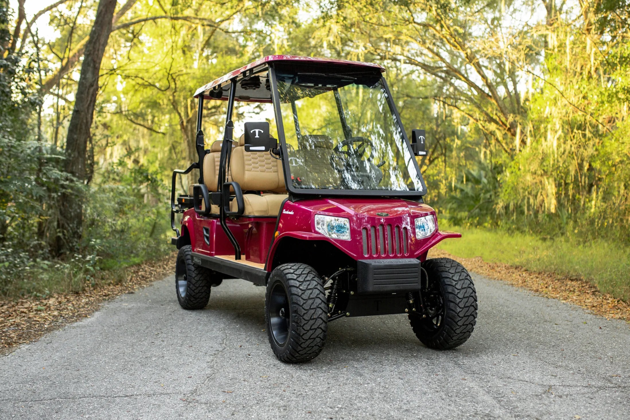 EMerge La Jolla Golf Carts