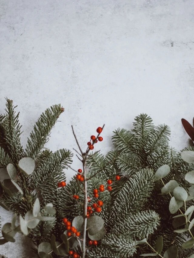 More Fun Activities at Hotel del Coronado During the Holidays La Jolla Mom