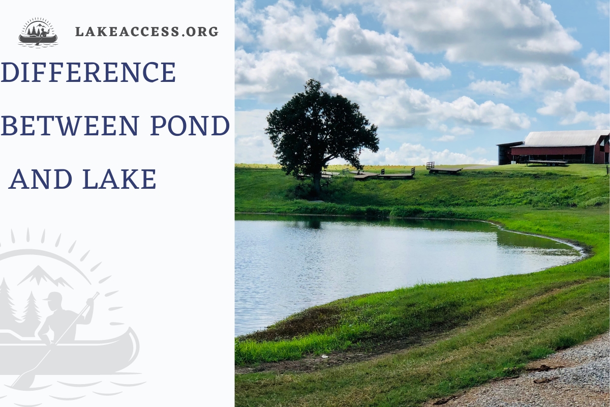 Lake vs. Pond: Exploring the Differences and Similarities - Lake Access