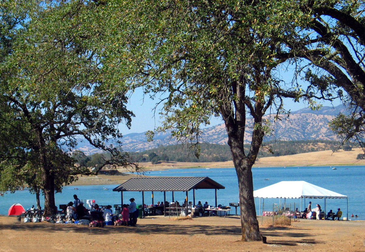 P32 Lake Berryessa News