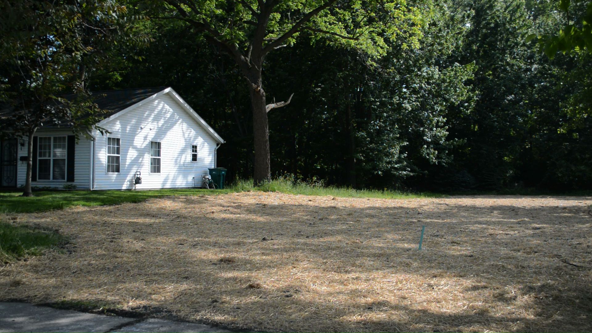 245 Jefferson St Lake County Land Bank