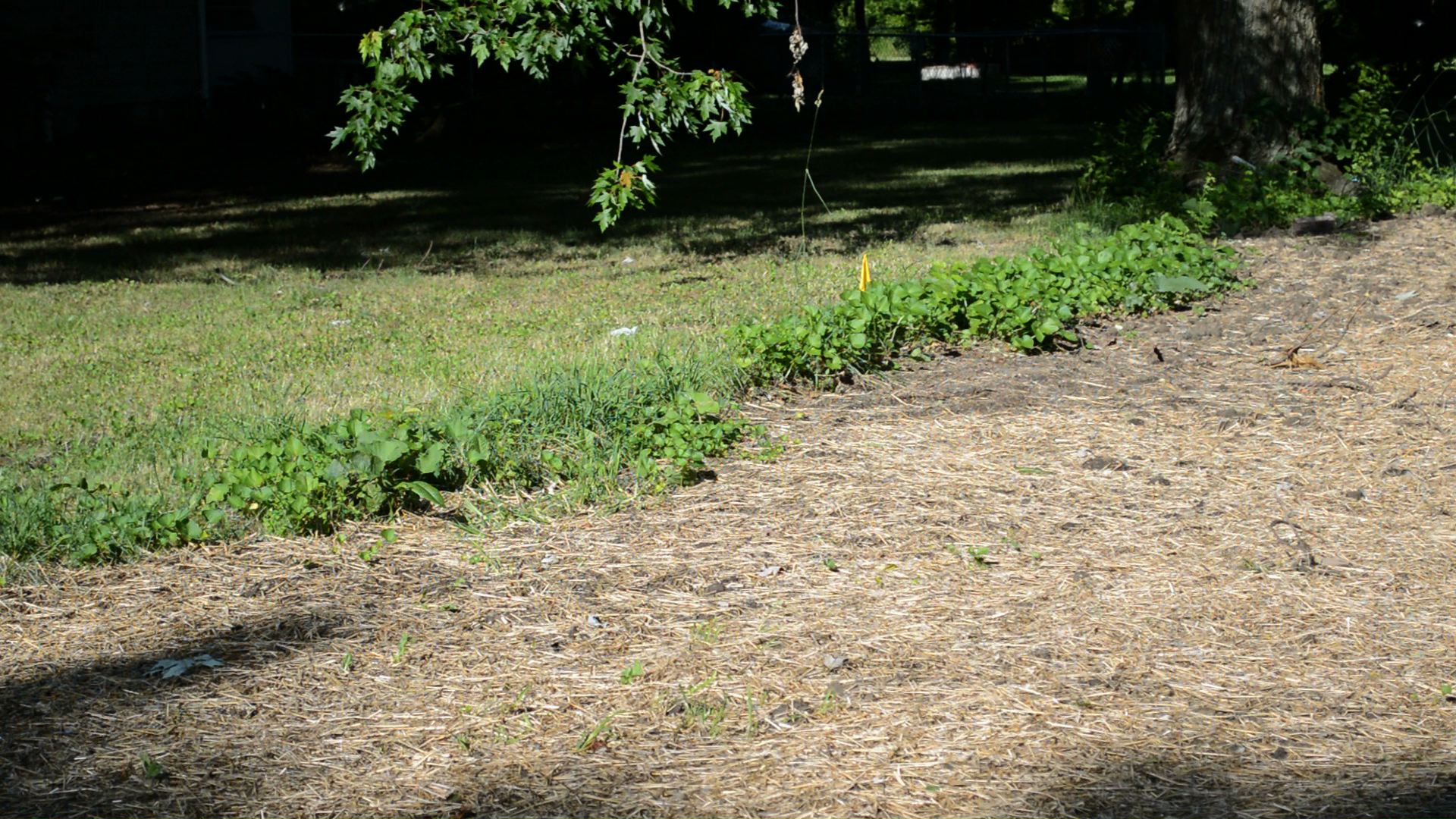 2559final Lake County Land Bank