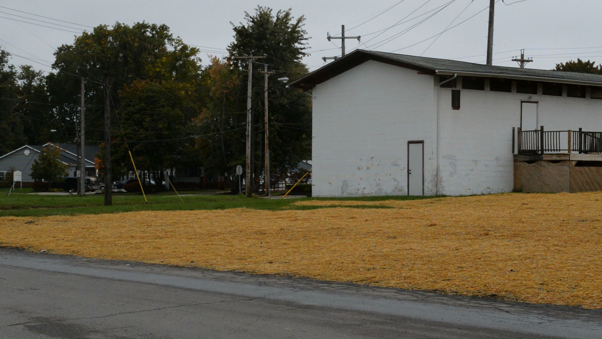 428 Lawnview Ave Lake County Land Bank