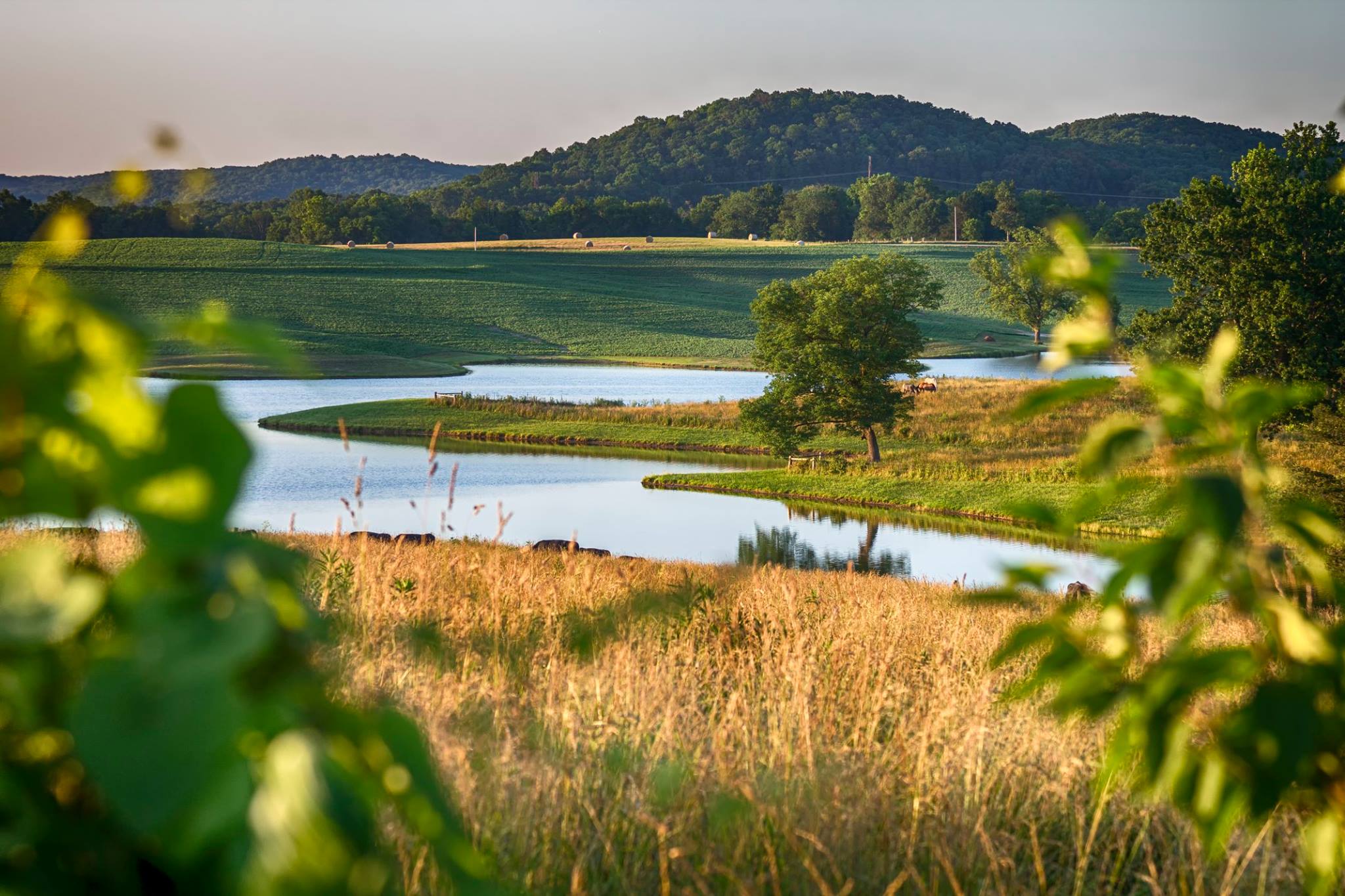 OUR STORY Lake Creek Winery in Marthasville, Missouri