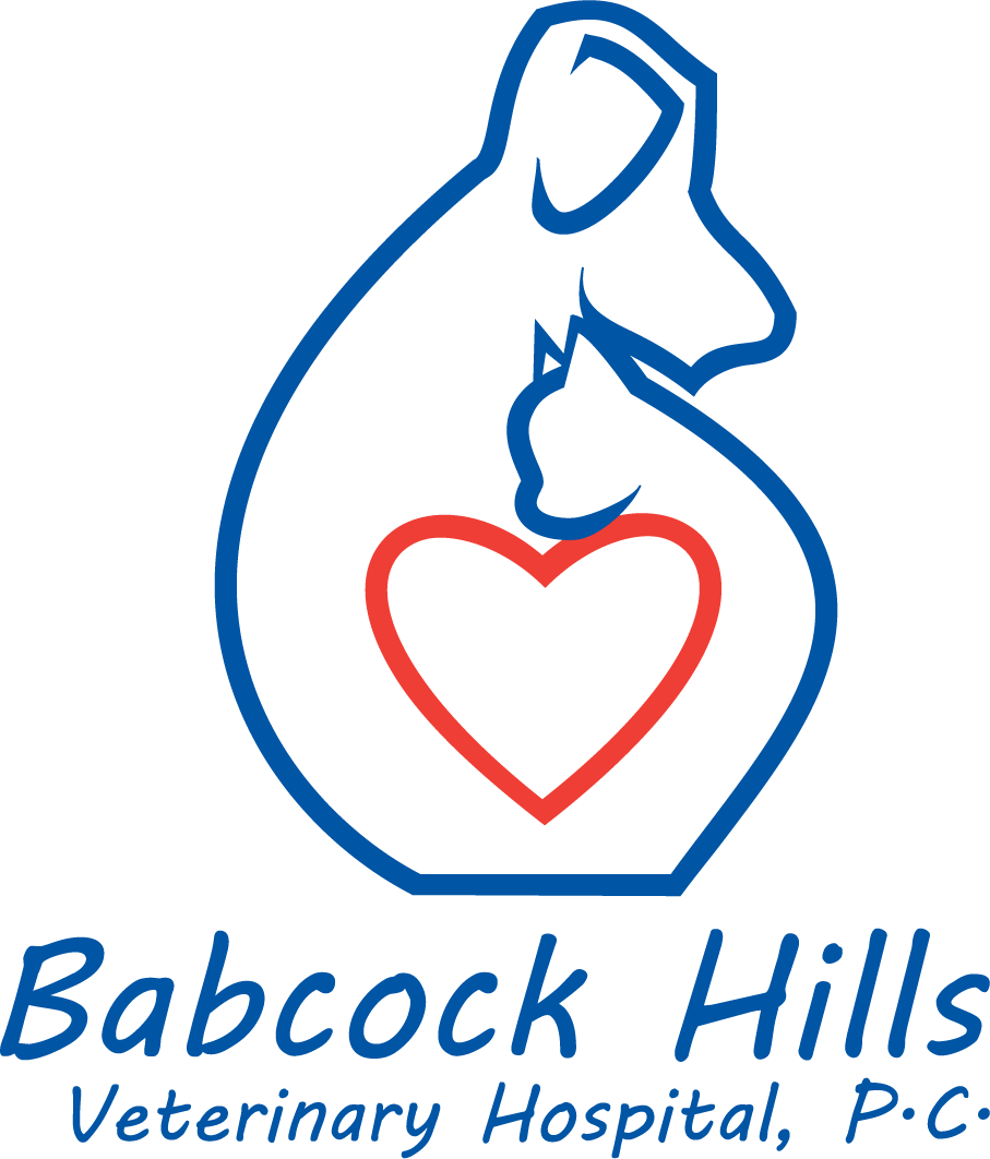 Practices Archive Lakefield Veterinary Group