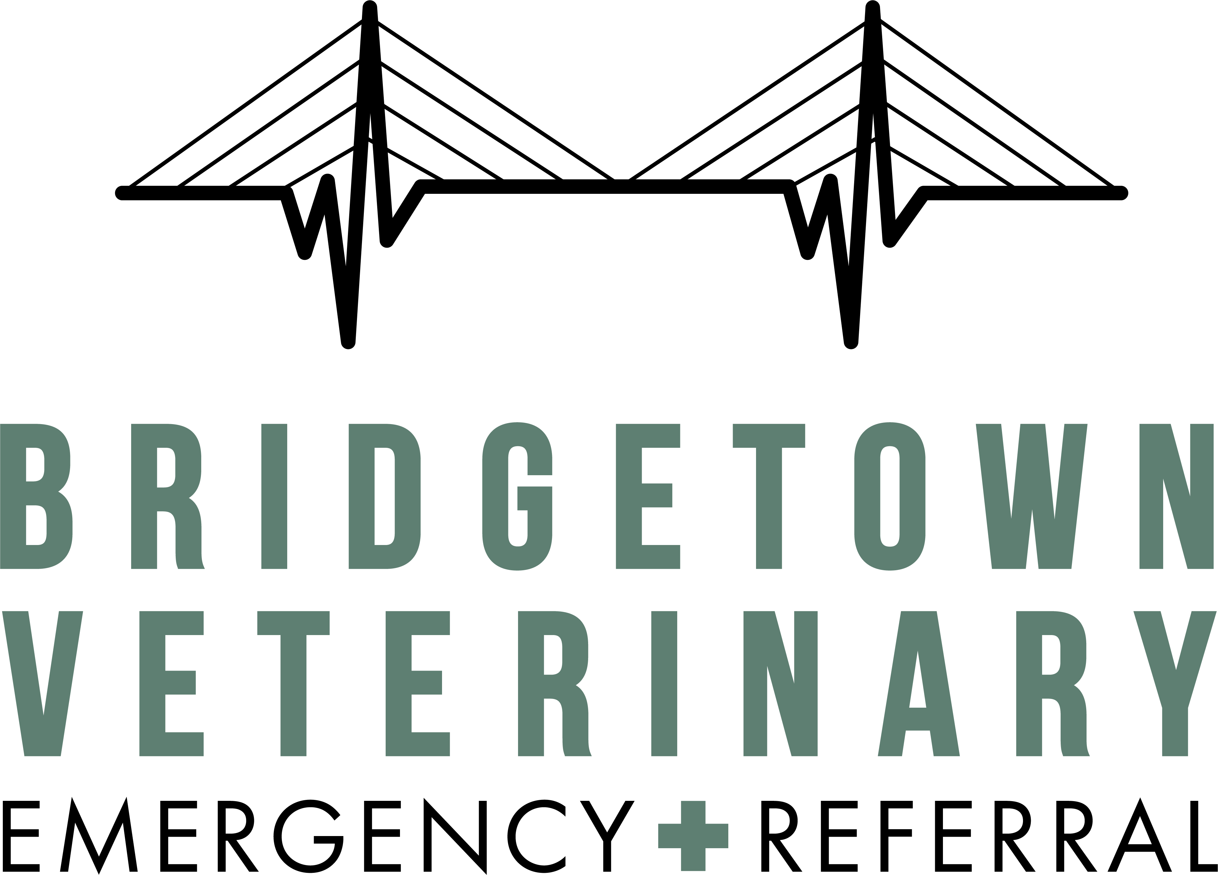 Practices Archive Lakefield Veterinary Group