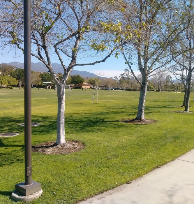 The Best Things to Do in Lake Forest, CA Updated 2019