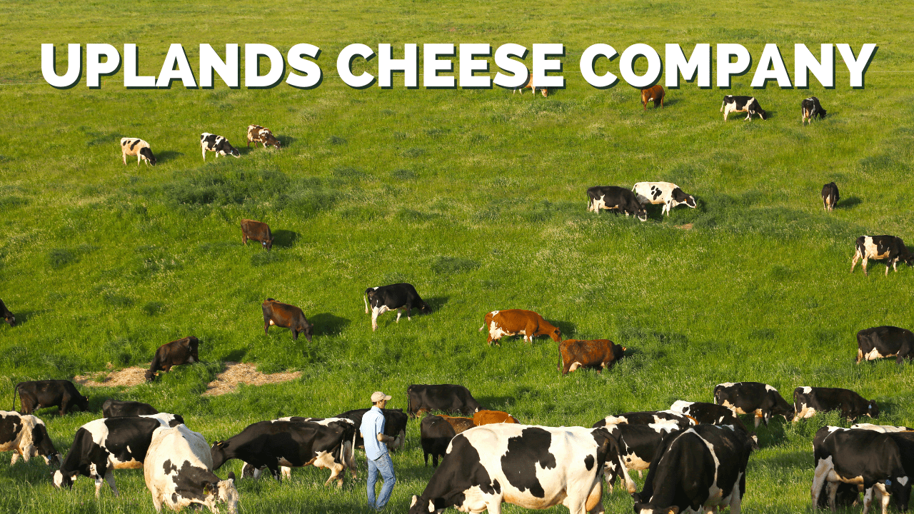 7 Best Wisconsin Cheese Makers At LGCM Cheese Notes