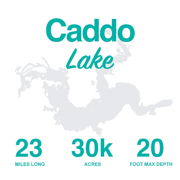 Spotlight on Caddo Lake – LakeHub