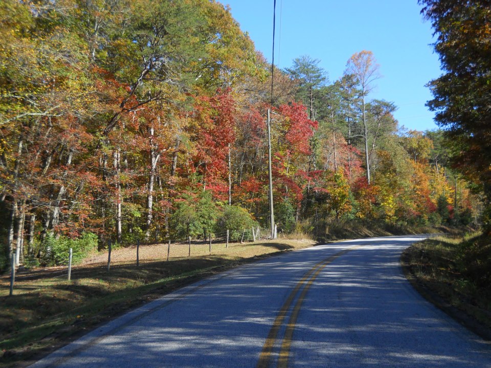 Fall Foliage in November? Lake Lanier