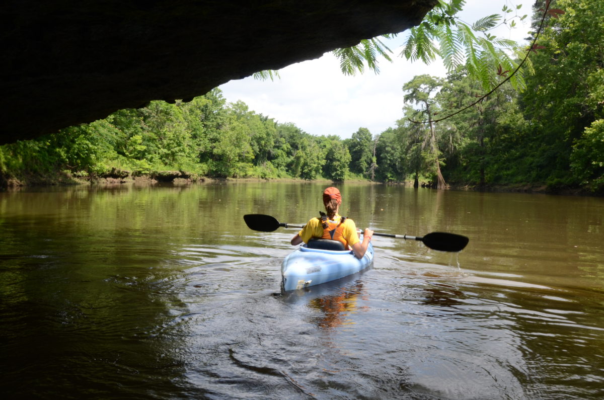 Paddle Fall Float on the Flint River