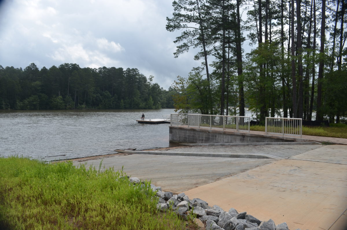 Don't Get Goosed by Cranky Canada Geese on Lake Lanier Lake Lanier