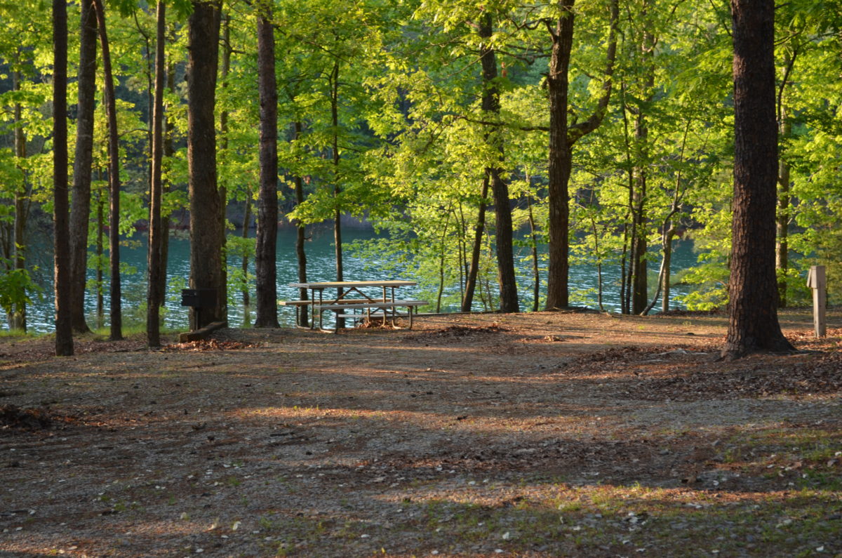 The RV Resort at Lanier Islands' Margaritaville Lake Lanier
