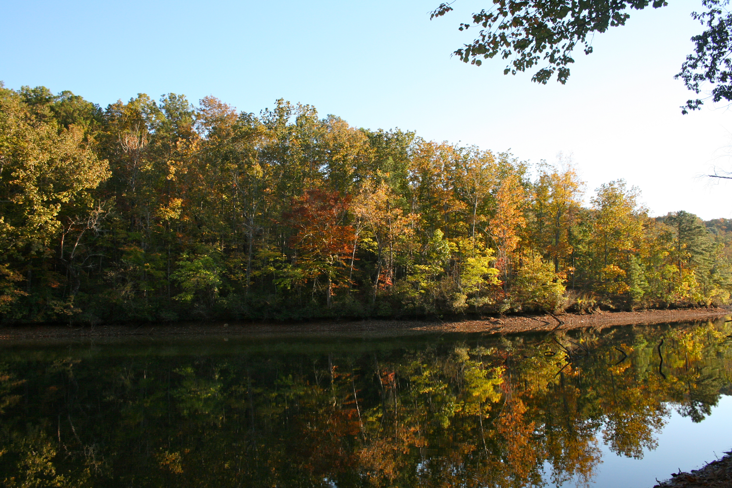 Are Lake Martin Real Estate Sales Seasonal? Lake Martin Voice Lake
