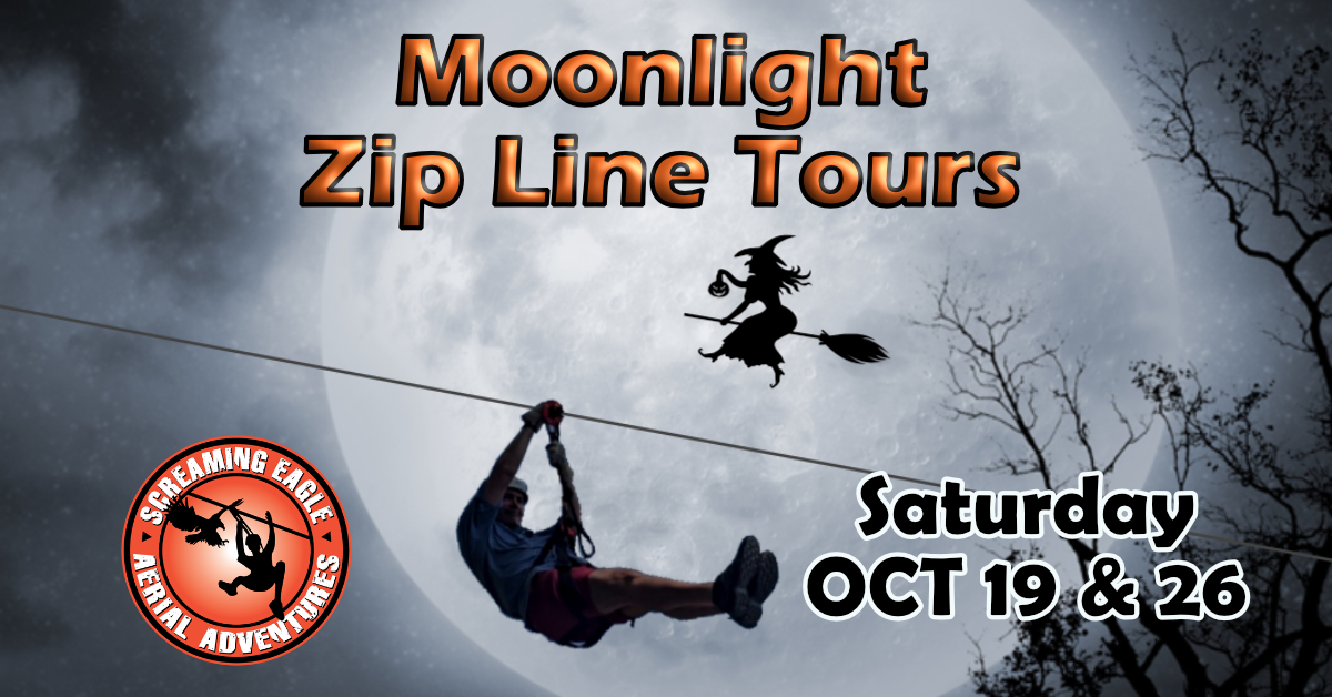 Moonlight Zip Line Tours at Wind Creek State Park Lake Martin Voice