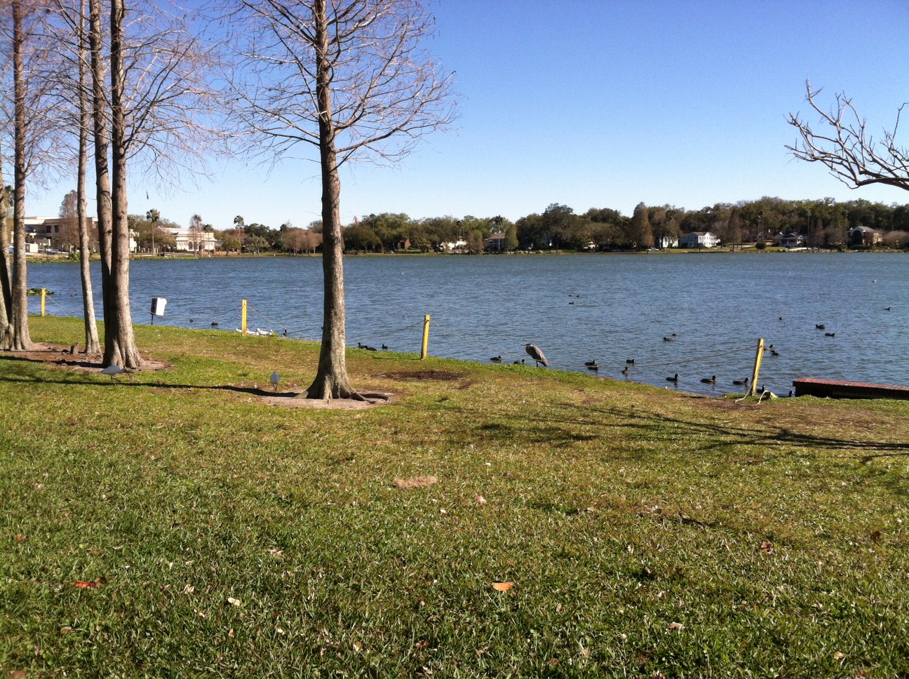 Shoreline Erosion Issues Around Lake Morton Lake Morton Neighborhood