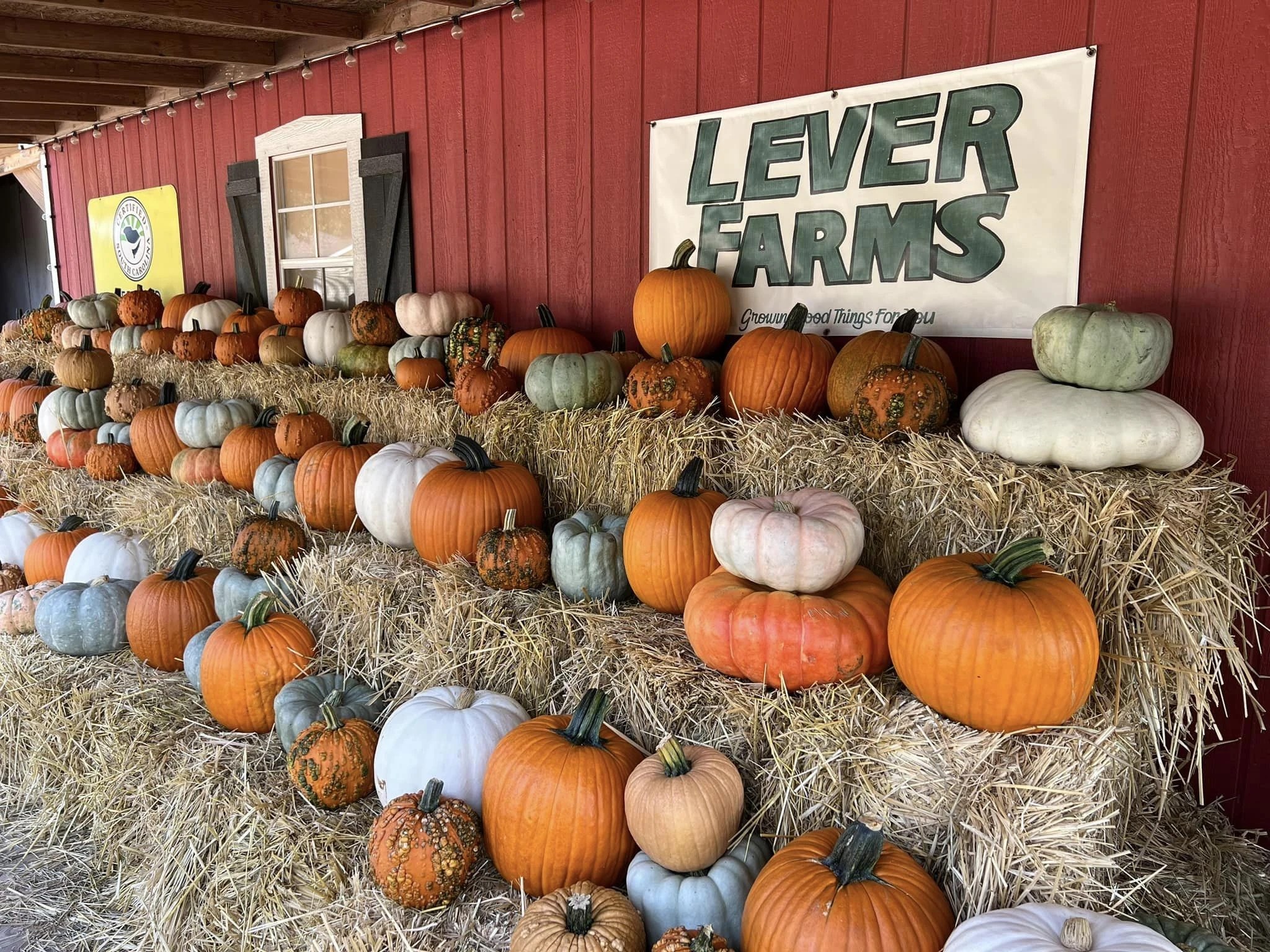 Family Fun on the Farm Lever Farms Lake Murray, South Carolina