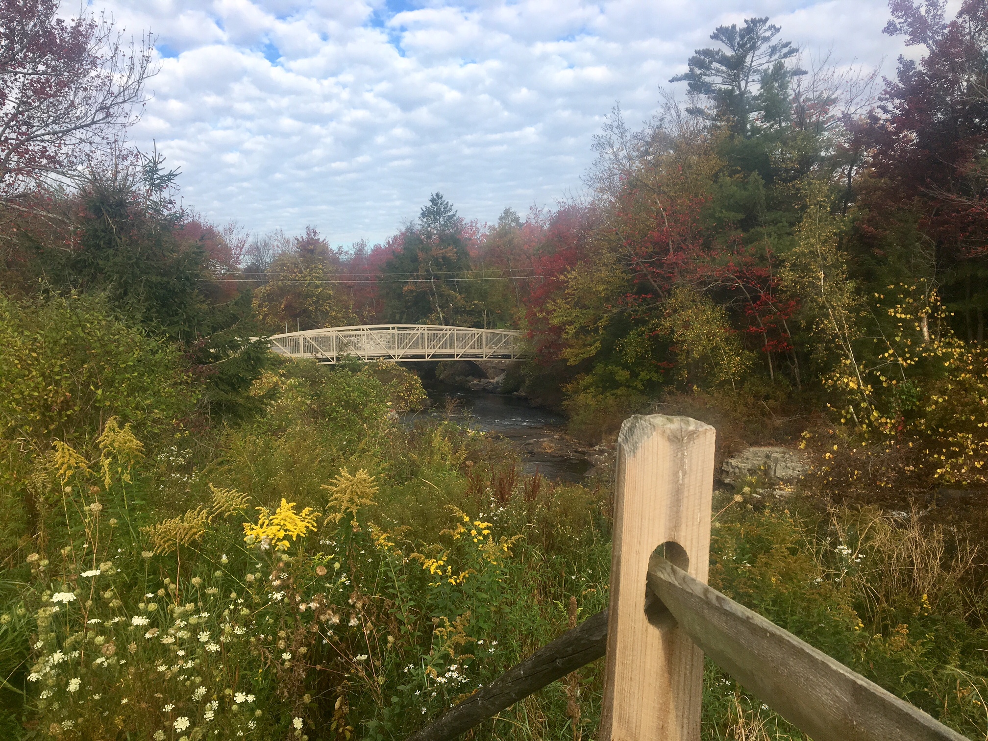 Walking Trail Bridge Lake Naomi Real Estate