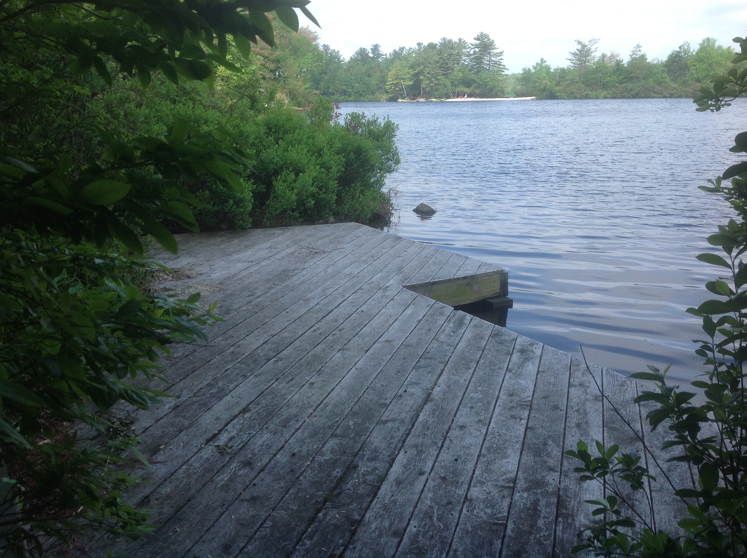 IMG_0734 Lake Naomi Real Estate