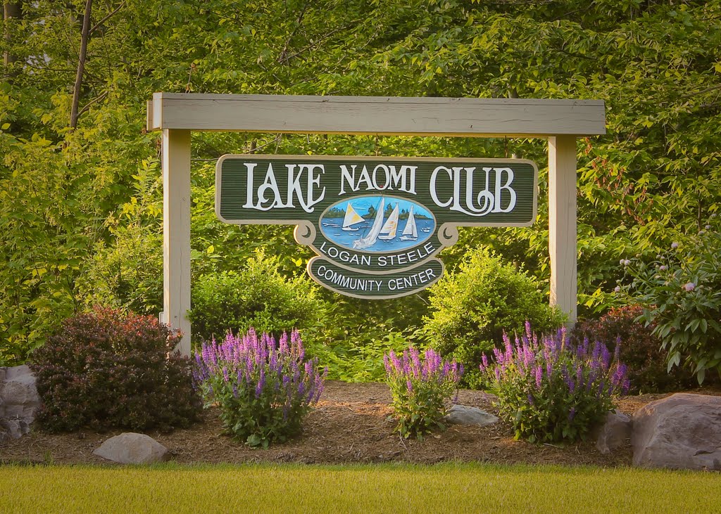 LNCSign Lake Naomi Real Estate