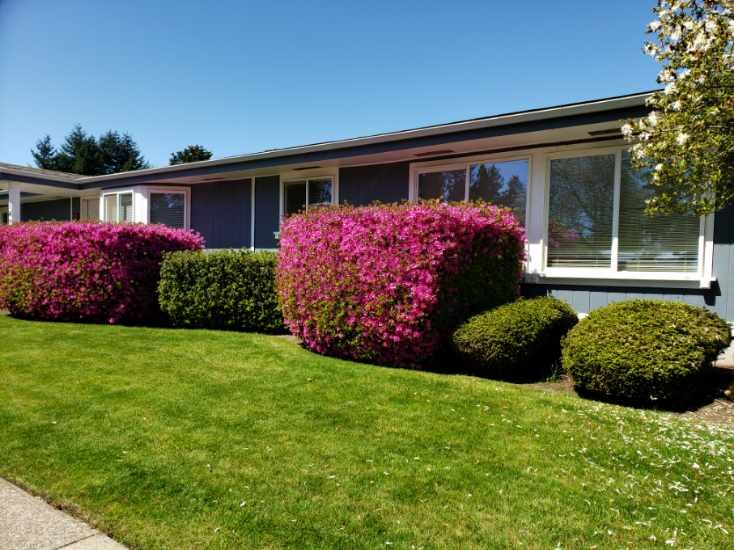 3355 North Delta Hwy 141 Lakeridge Home Sales