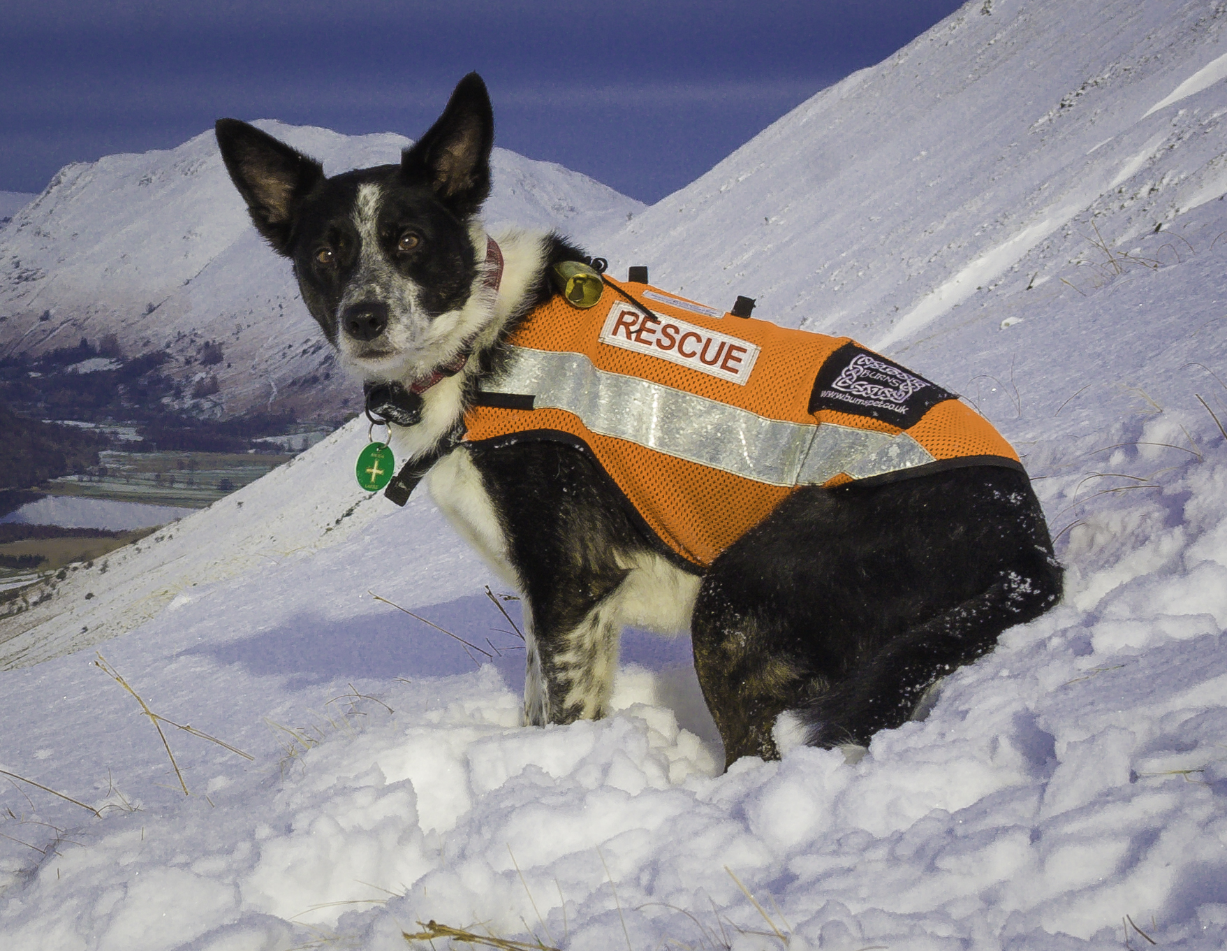 Impromptu avalanche training (Video) Lake District Mountain Rescue