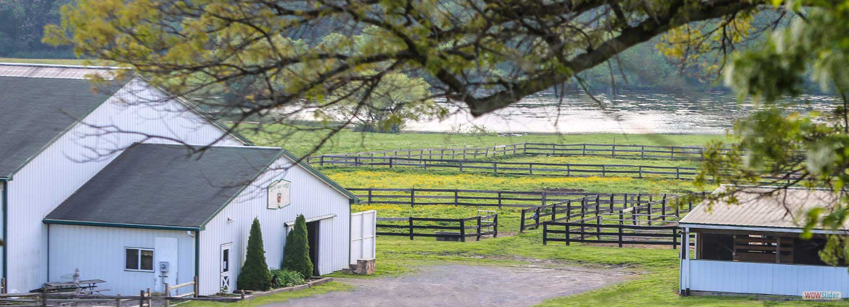 Home Lakeside Stable, Poolesville, Maryland, Hunter/Jumper, Boarding