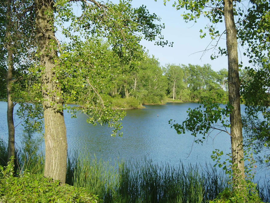 Guide to Ellendale Minnesota