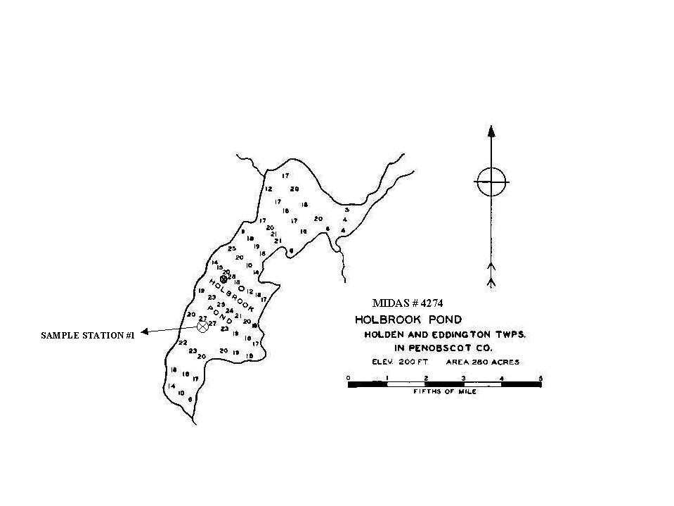 Lake Overview Holbrook Pond Eddington, Holden, Penobscot, Maine