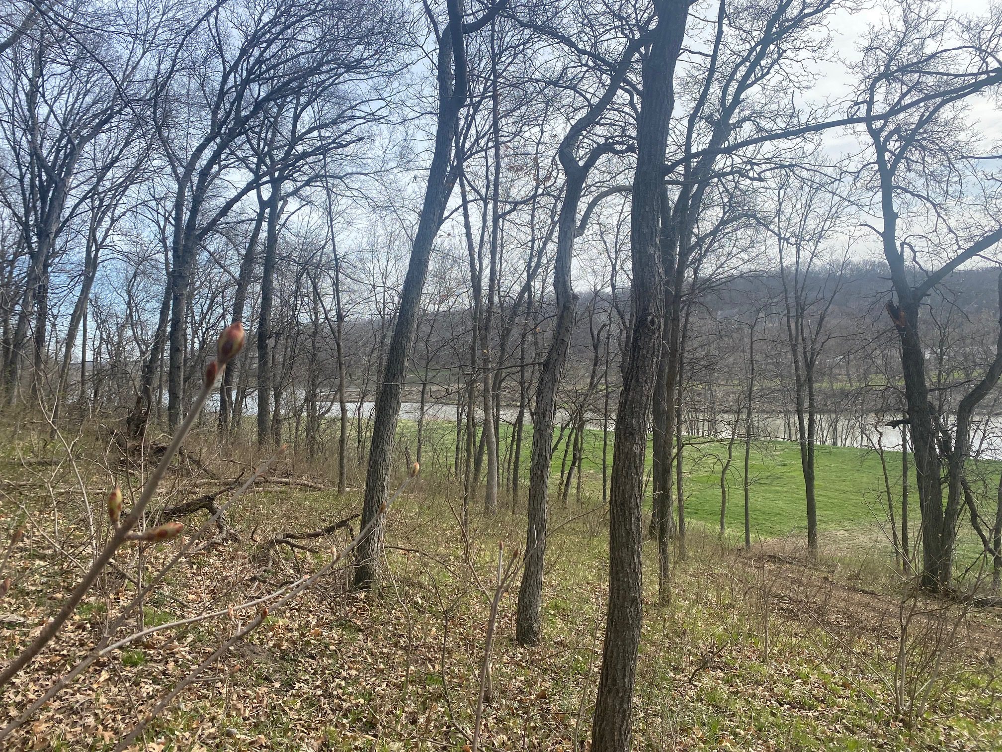 Iowa Lakefront at Sundown Lake! Lake Homes and Farms Realty