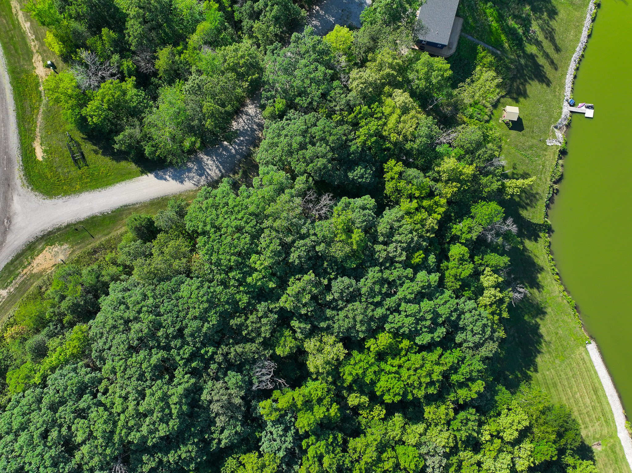 Wooded Iowa Lake Front Property for Sale! Lake Homes and Farms Realty