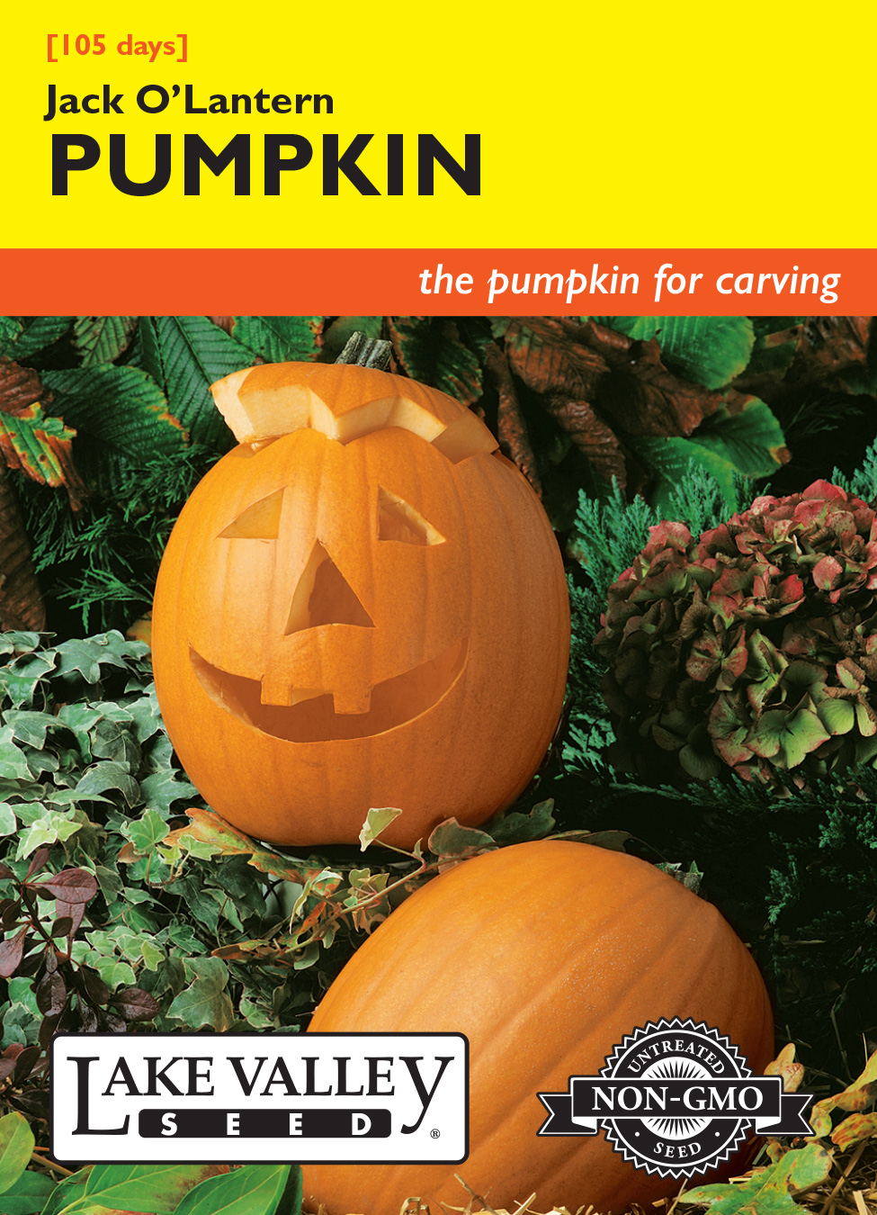 Pumpkin Jack O'Lantern Item 253 Lake Valley Seed