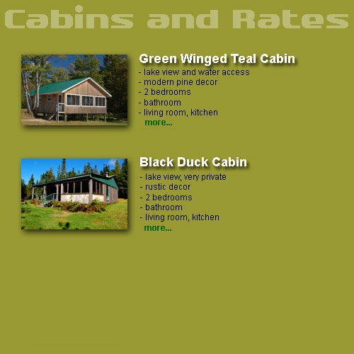 Lakeview Cabins and Rental Rates