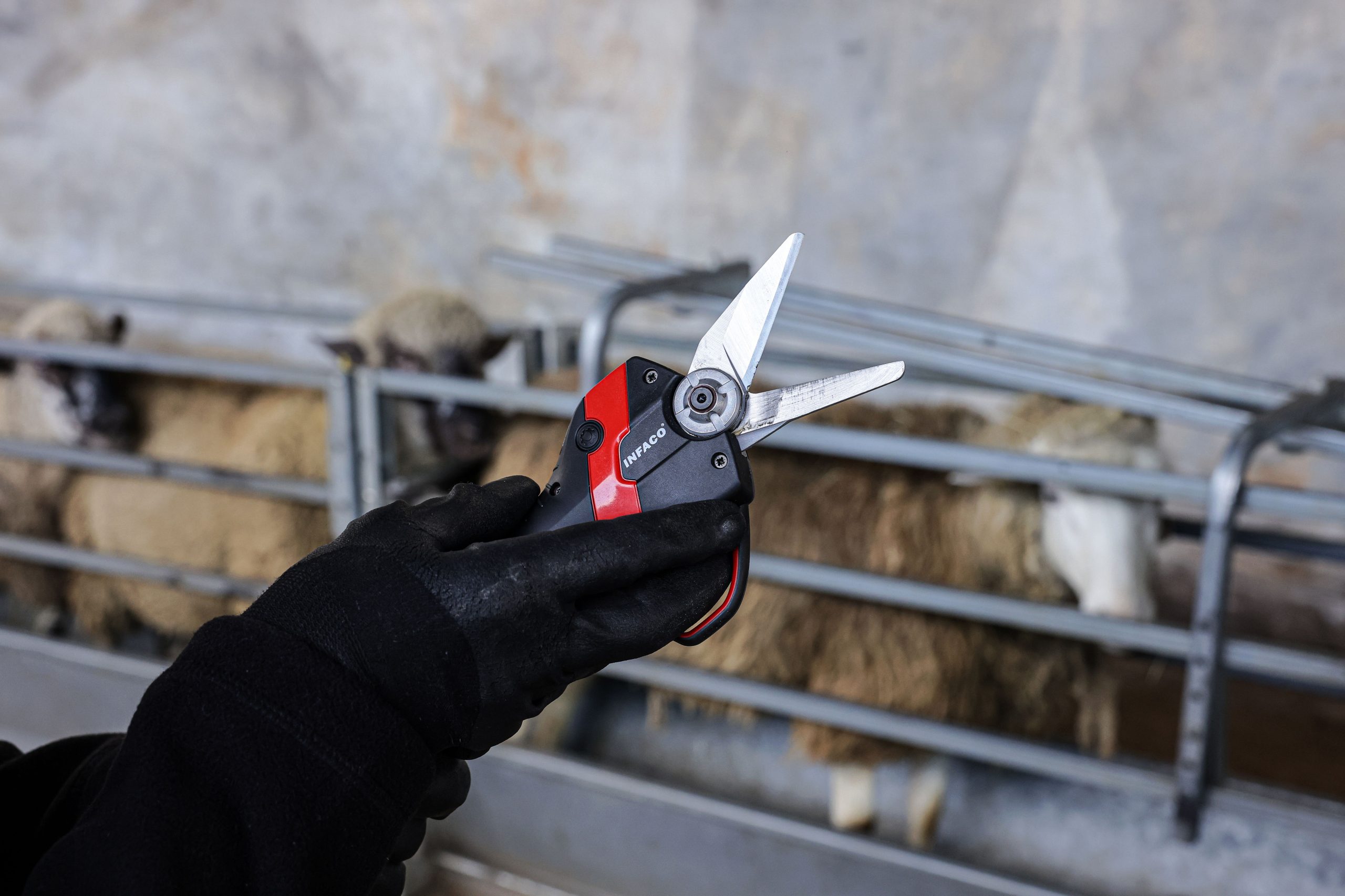 INFACO Hoof Trimmer Blade Kit Lakeview Vineyard Equipment