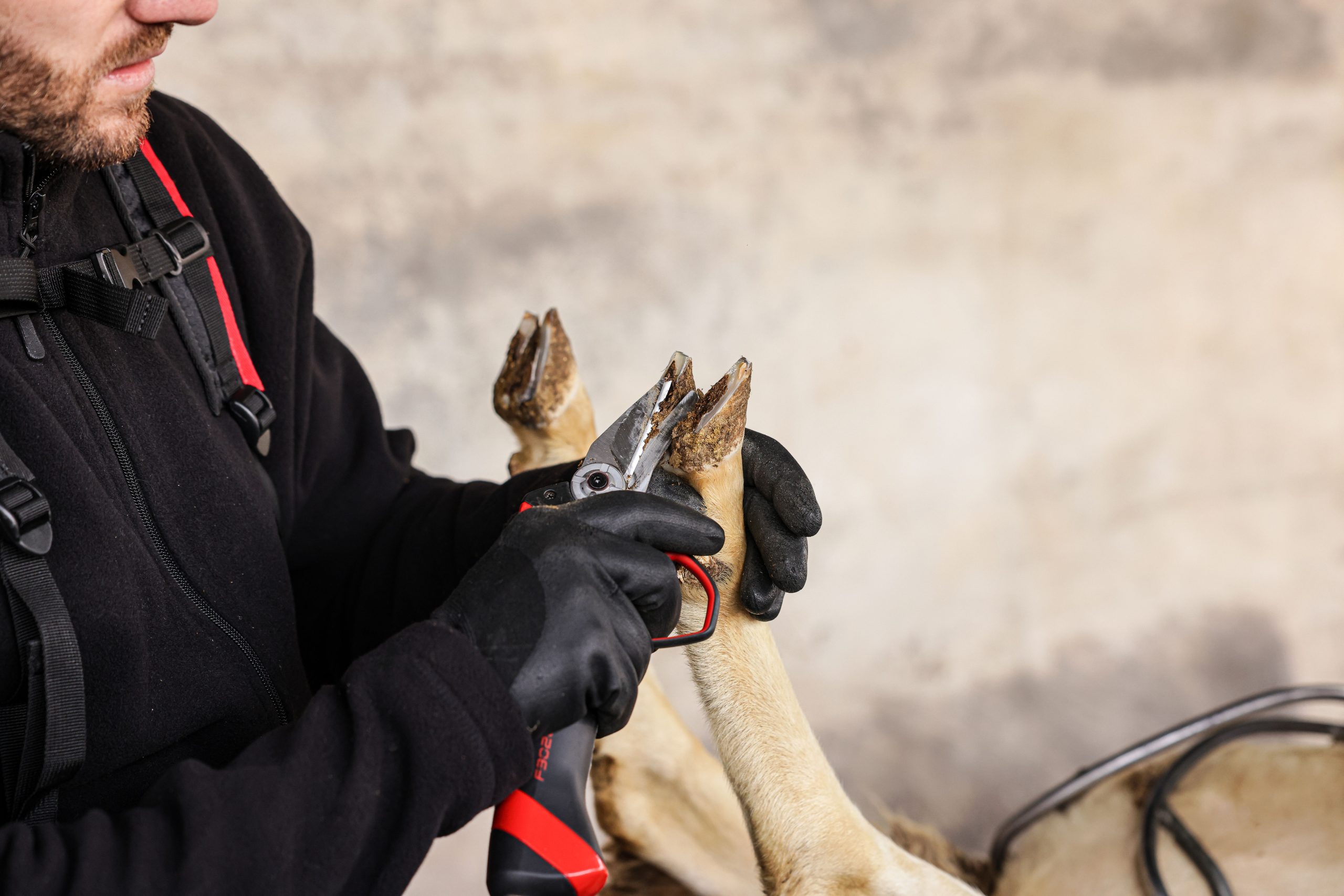 INFACO Hoof Trimmer Blade Kit Lakeview Vineyard Equipment